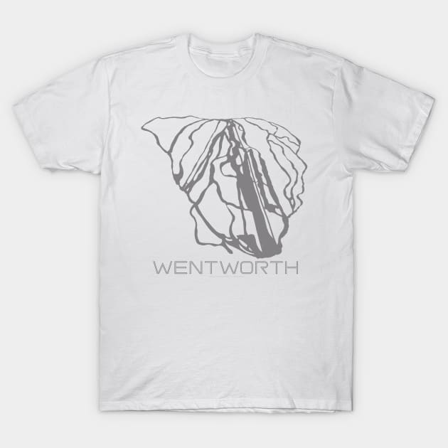 Wentworth Resort 3D T-Shirt by Mapsynergy